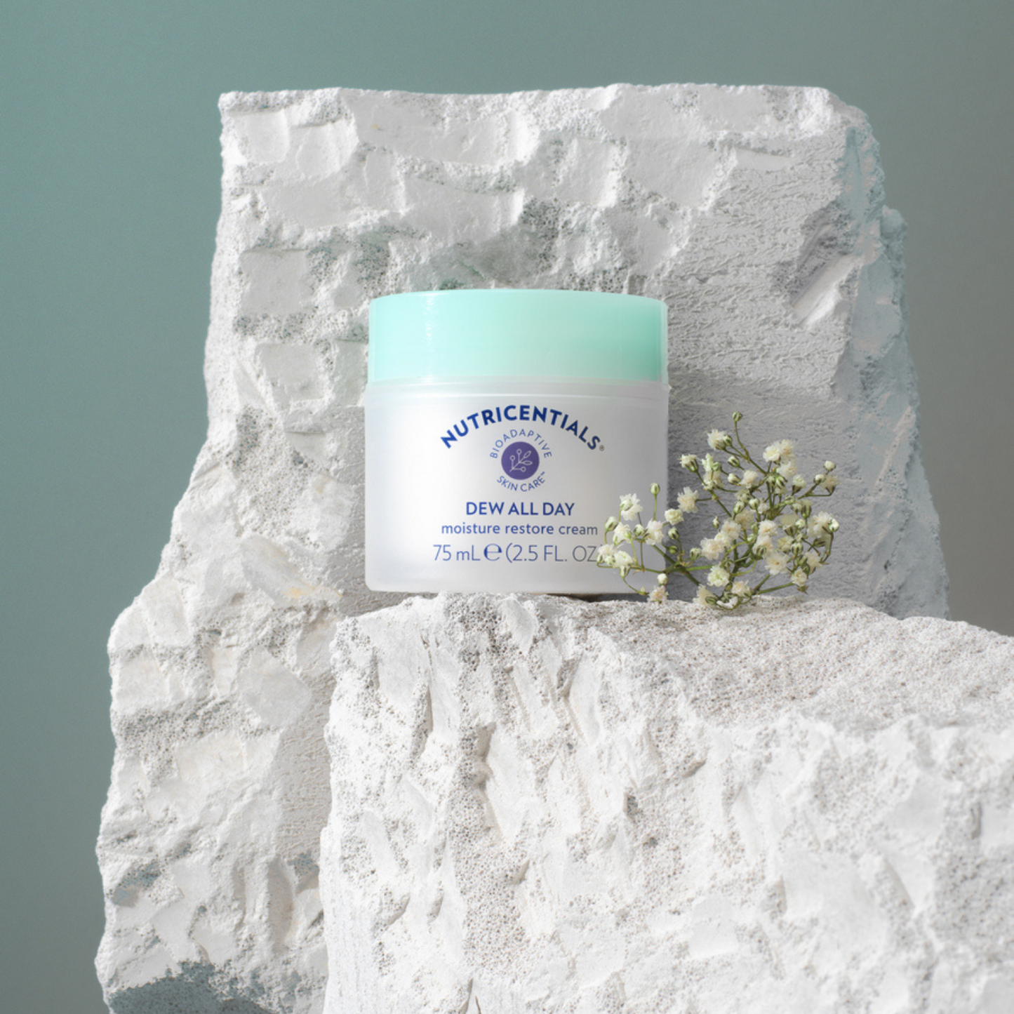 Dew All Day Moisture Restore Cream